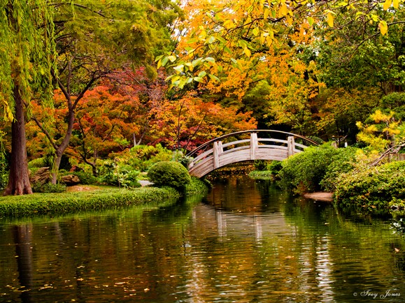 Moon Bridge in the Fall